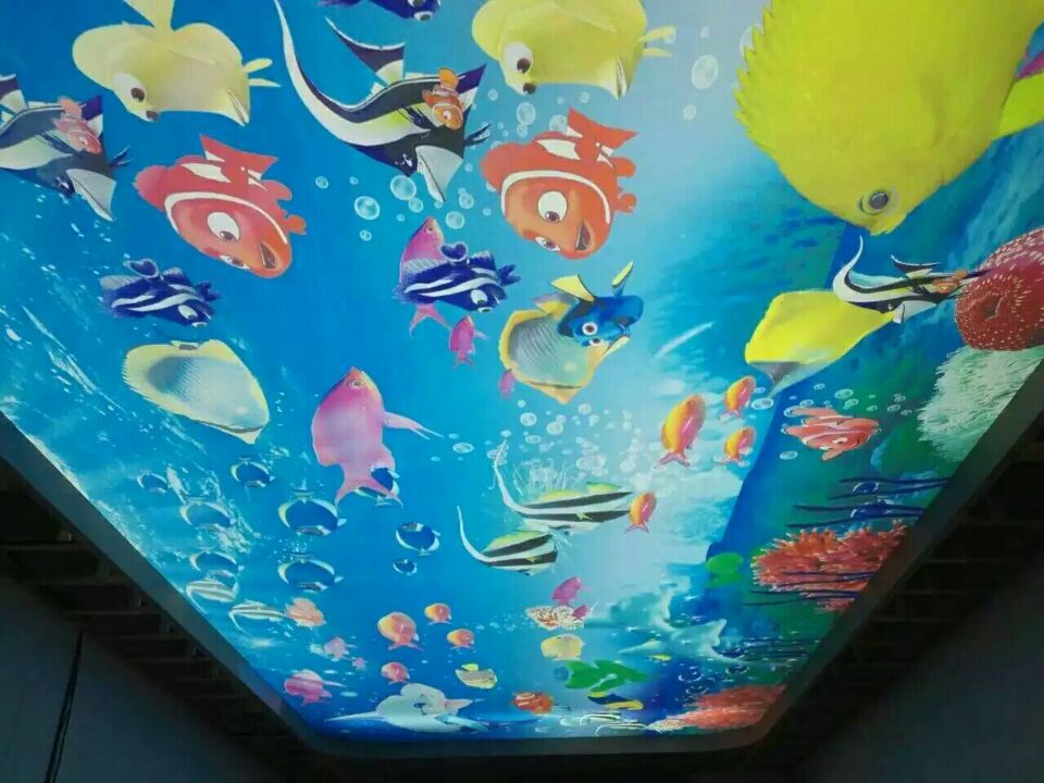 北京軟膜天花 透光膜 燈箱膜圖片/北京軟膜天花 透光膜 燈箱膜樣板圖 (4)