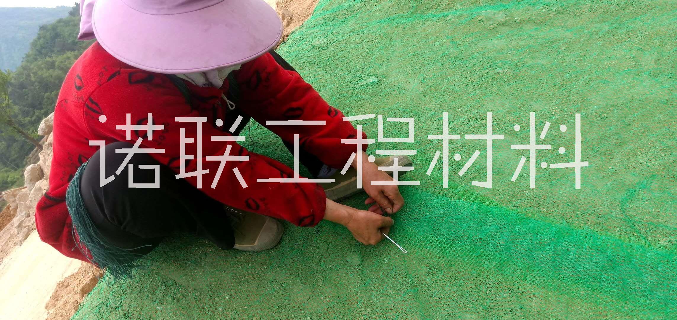三維植被網(wǎng)網(wǎng)墊圖片/三維植被網(wǎng)網(wǎng)墊樣板圖 (2)