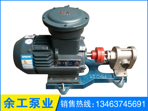 不銹鋼2CY高壓齒輪泵圖片/不銹鋼2CY高壓齒輪泵樣板圖 (1)