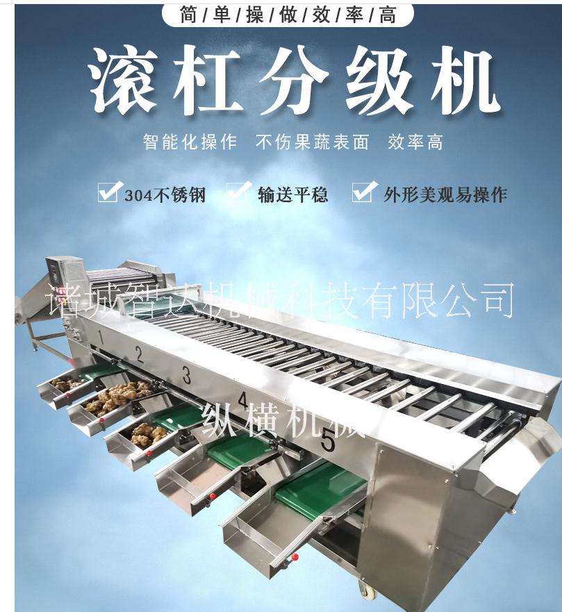滾杠分選機  廠家加工定制