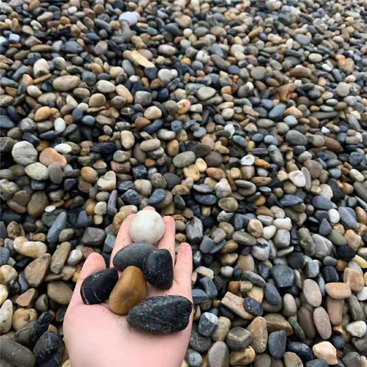 園藝鵝卵石圖片/園藝鵝卵石樣板圖 (3)