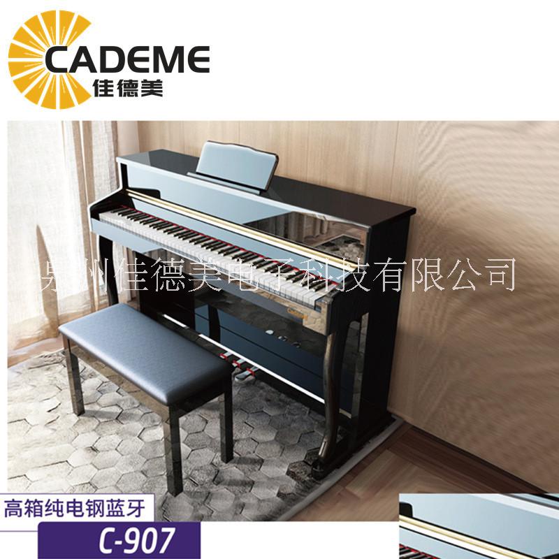電鋼琴圖片/電鋼琴樣板圖 (1)