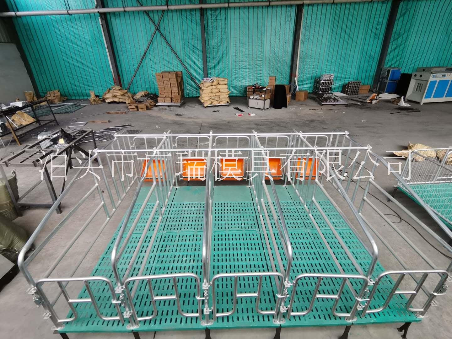 母豬定位欄圖片/母豬定位欄樣板圖 (3)