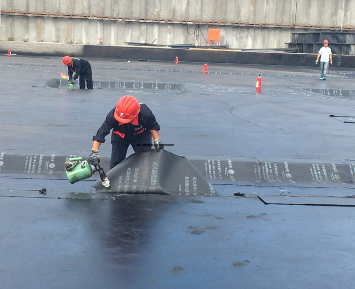 东莞外墙补漏电话、公司、地址【中山市大禹防水补强工程有限公司】图片