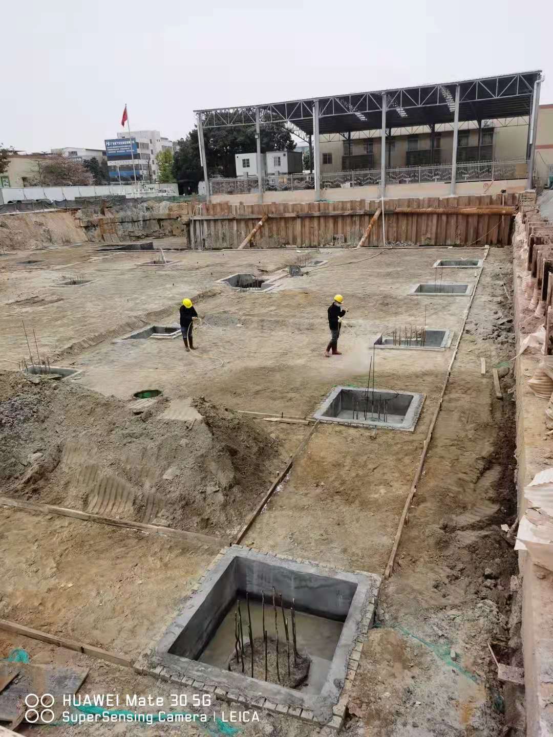 白蟻防治圖片/白蟻防治樣板圖 (4)