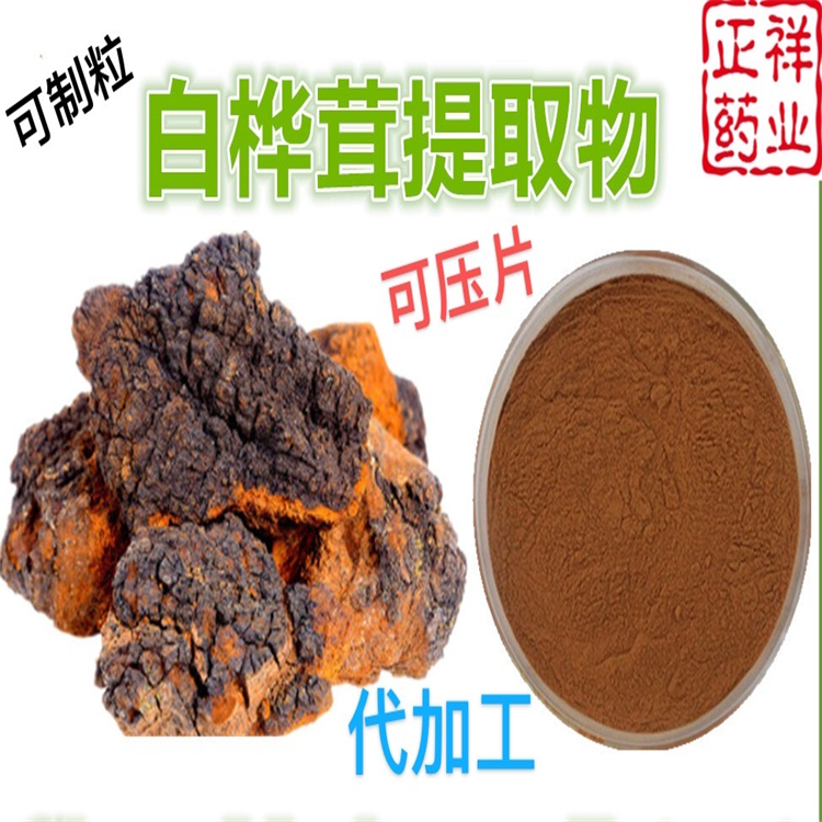 樺褐孔菌圖片/樺褐孔菌樣板圖 (4)
