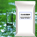 水解酸化菌種 污水處理 水解酸化菌 污水處理 廠家