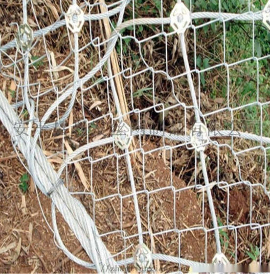 山體護坡網(wǎng)圖片/山體護坡網(wǎng)樣板圖 (2)