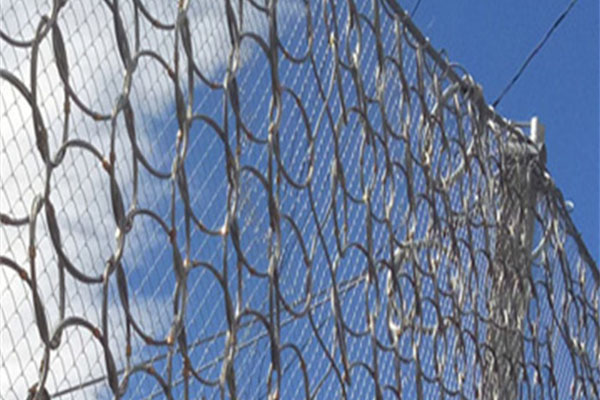 RXI-150型被動(dòng)防護(hù)網(wǎng)圖片/RXI-150型被動(dòng)防護(hù)網(wǎng)樣板圖 (4)