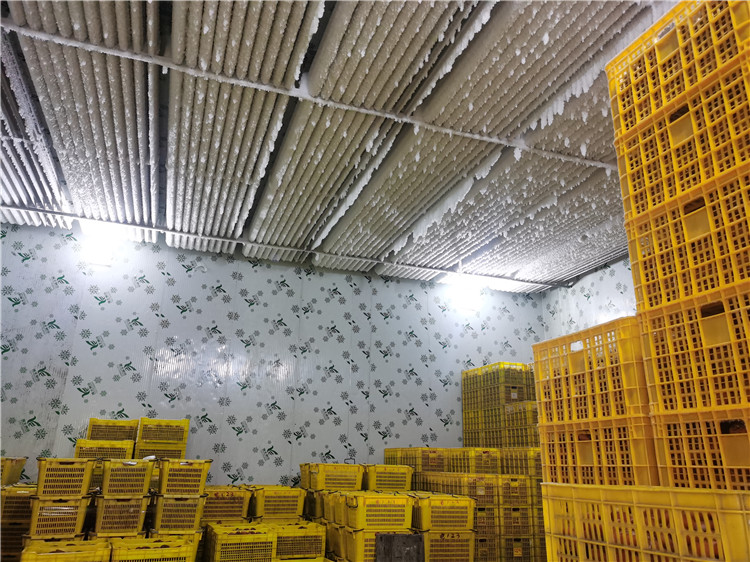 冷庫(kù)安裝圖片/冷庫(kù)安裝樣板圖 (1)