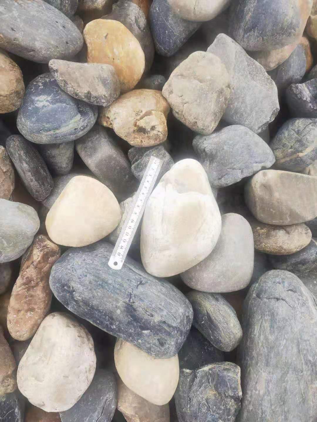 湖南5-8公分黃白鵝卵石批發(fā)-現(xiàn)貨-供應(yīng)-直銷(xiāo)