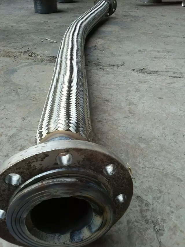 金屬軟管補(bǔ)償器圖片/金屬軟管補(bǔ)償器樣板圖 (3)