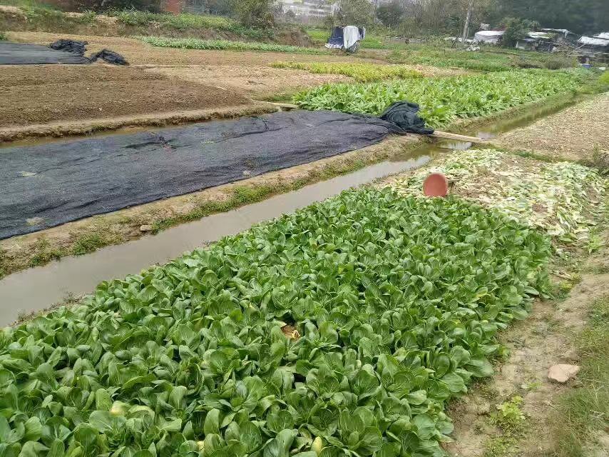 佛山市佛山禅城一站式食材配送厂家佛山禅城一站式食材配送中心、配送价格表、服务商【佛山市邦和食品有限公司】