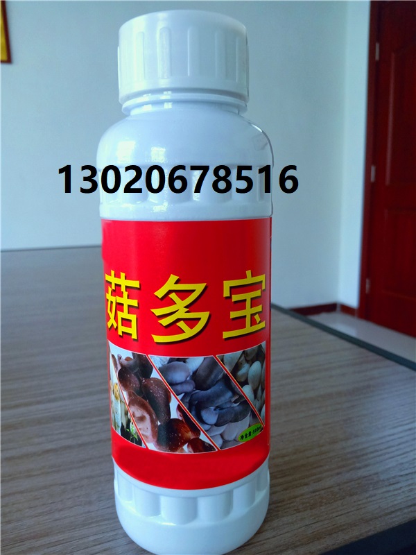 菇多寶圖片/菇多寶樣板圖 (1)