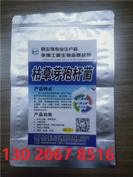 菇多寶圖片/菇多寶樣板圖 (4)