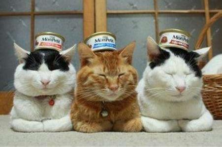 吃飯圖片/吃飯樣板圖 (2)