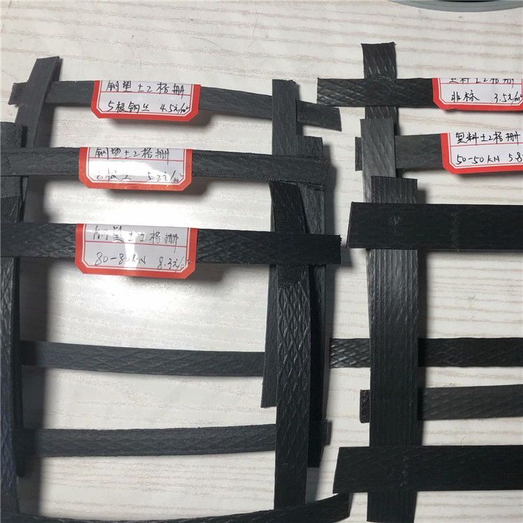 重慶鋼塑土工格柵  雙向軟基加固加筋格柵