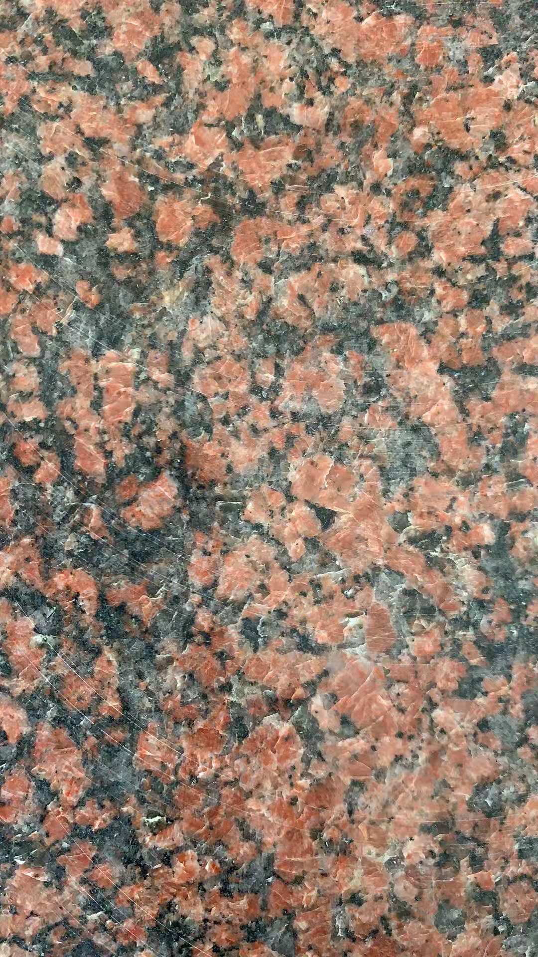 旺蒼紅加工廠圖片/旺蒼紅加工廠樣板圖 (3)
