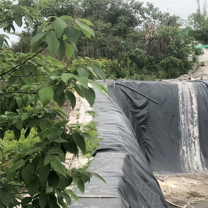 延伸率圖片/延伸率樣板圖 (2)