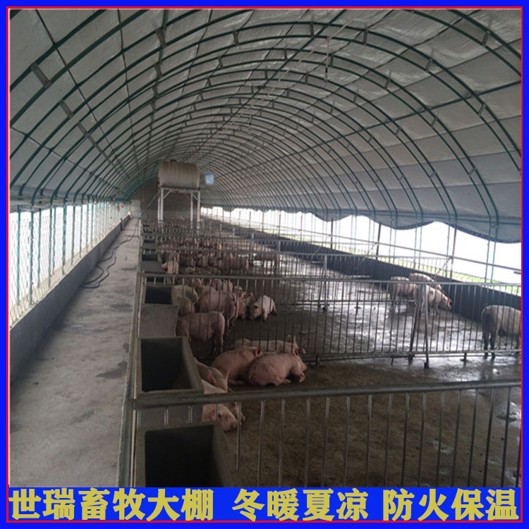 豬棚圖片/豬棚樣板圖 (1)