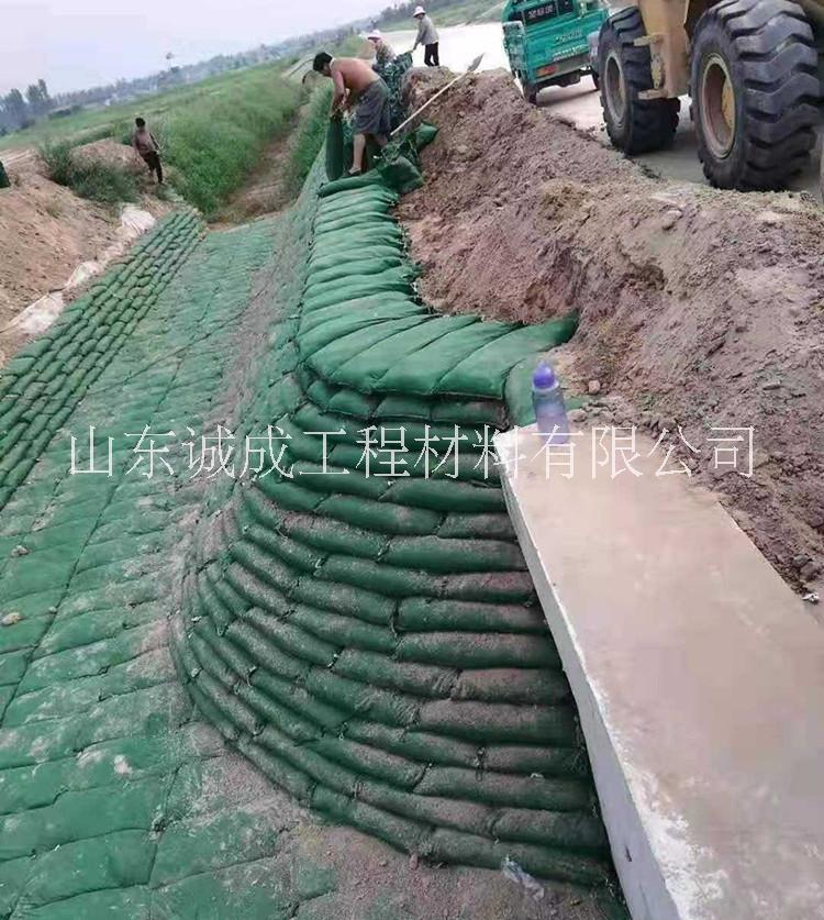 植生袋護(hù)坡 綠化生態(tài)袋 草籽生態(tài)袋  高邊坡防護(hù)