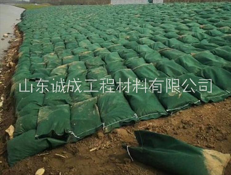 生態(tài)袋護坡圖片/生態(tài)袋護坡樣板圖 (3)