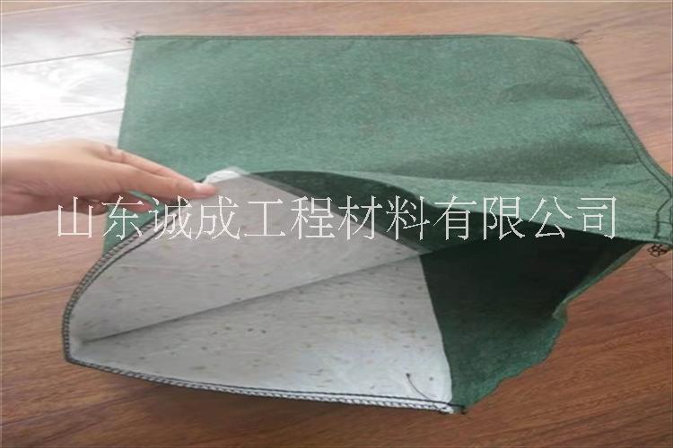 生態(tài)袋護坡圖片/生態(tài)袋護坡樣板圖 (2)