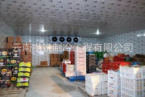 昆明啤酒圖片/昆明啤酒樣板圖 (2)