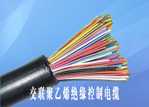 交聯(lián)控制電纜圖片/交聯(lián)控制電纜樣板圖 (3)