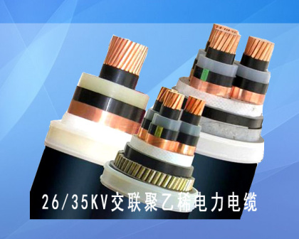 交聯(lián)電力電纜圖片/交聯(lián)電力電纜樣板圖 (2)