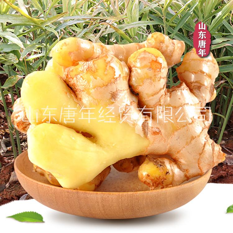 綠色農(nóng)產(chǎn)品 新鮮山東大姜 水洗姜 不帶泥