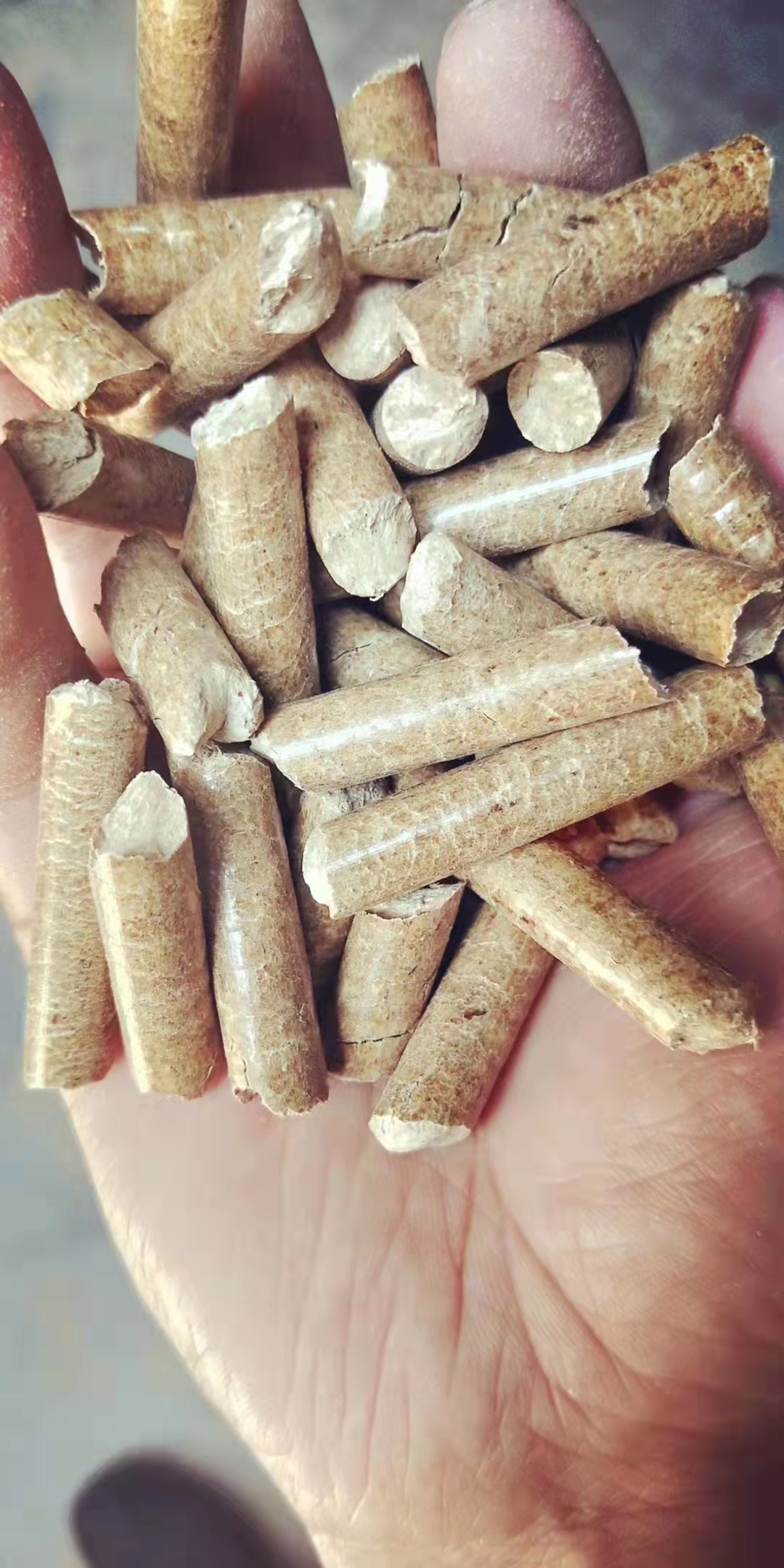 西安木質(zhì)燃料圖片/西安木質(zhì)燃料樣板圖 (2)