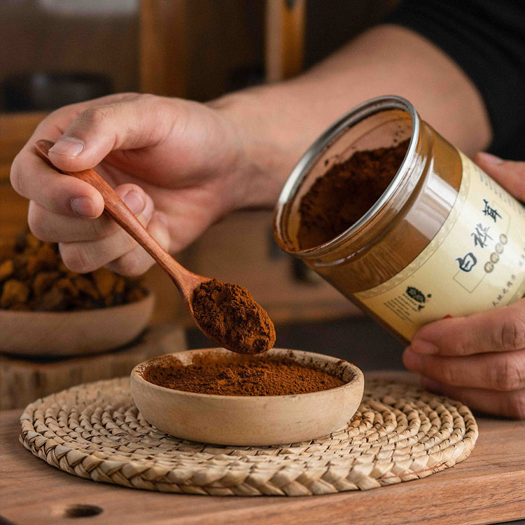 白樺茸圖片/白樺茸樣板圖 (4)