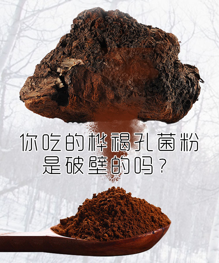 白桦茸代加工厂图片