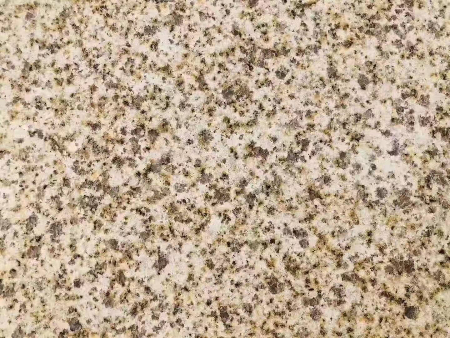 湖北黃金麻圖片/湖北黃金麻樣板圖 (4)