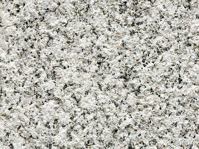 芙蓉白圖片/芙蓉白樣板圖 (1)