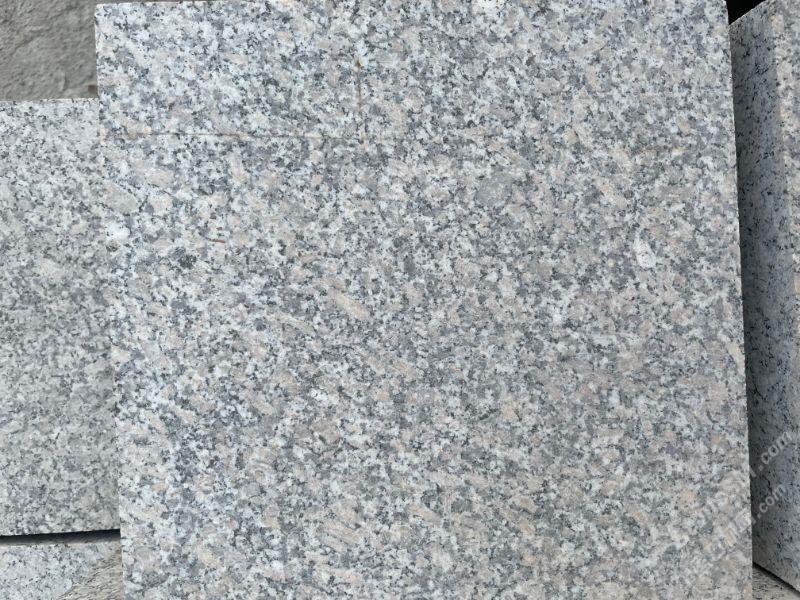 芙蓉白圖片/芙蓉白樣板圖 (1)