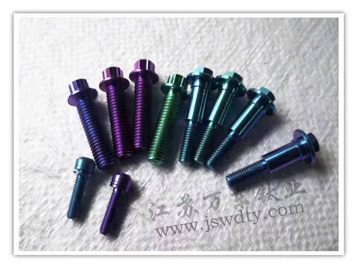 鈦合金螺絲圖片/鈦合金螺絲樣板圖 (4)