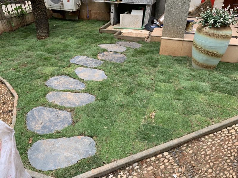 踏步石圖片/踏步石樣板圖 (2)