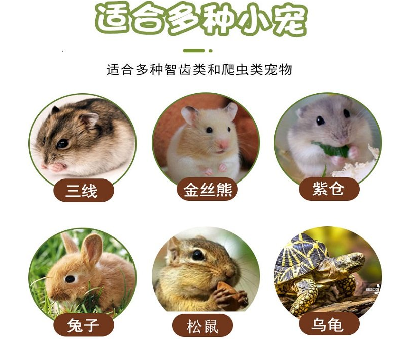 山東玉米芯粉生產(chǎn)廠家 玉米芯粉供應(yīng)商  玉米芯粉批發(fā)商  玉米芯