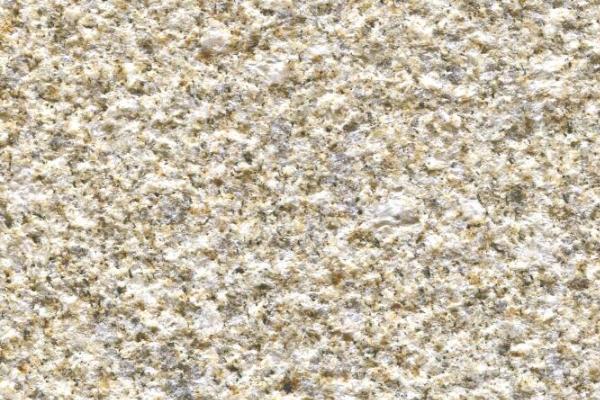 卡基諾金圖片/卡基諾金樣板圖 (2)