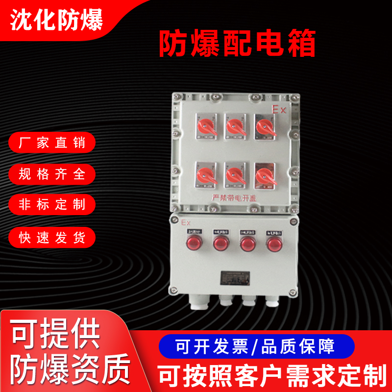 定做防爆配电箱 防爆检修箱电源插座箱 防爆防腐电源箱图片