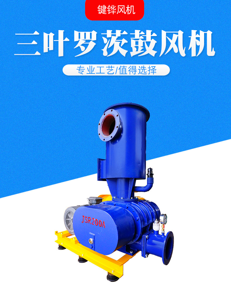 葉羅茨風(fēng)機圖片/葉羅茨風(fēng)機樣板圖 (3)