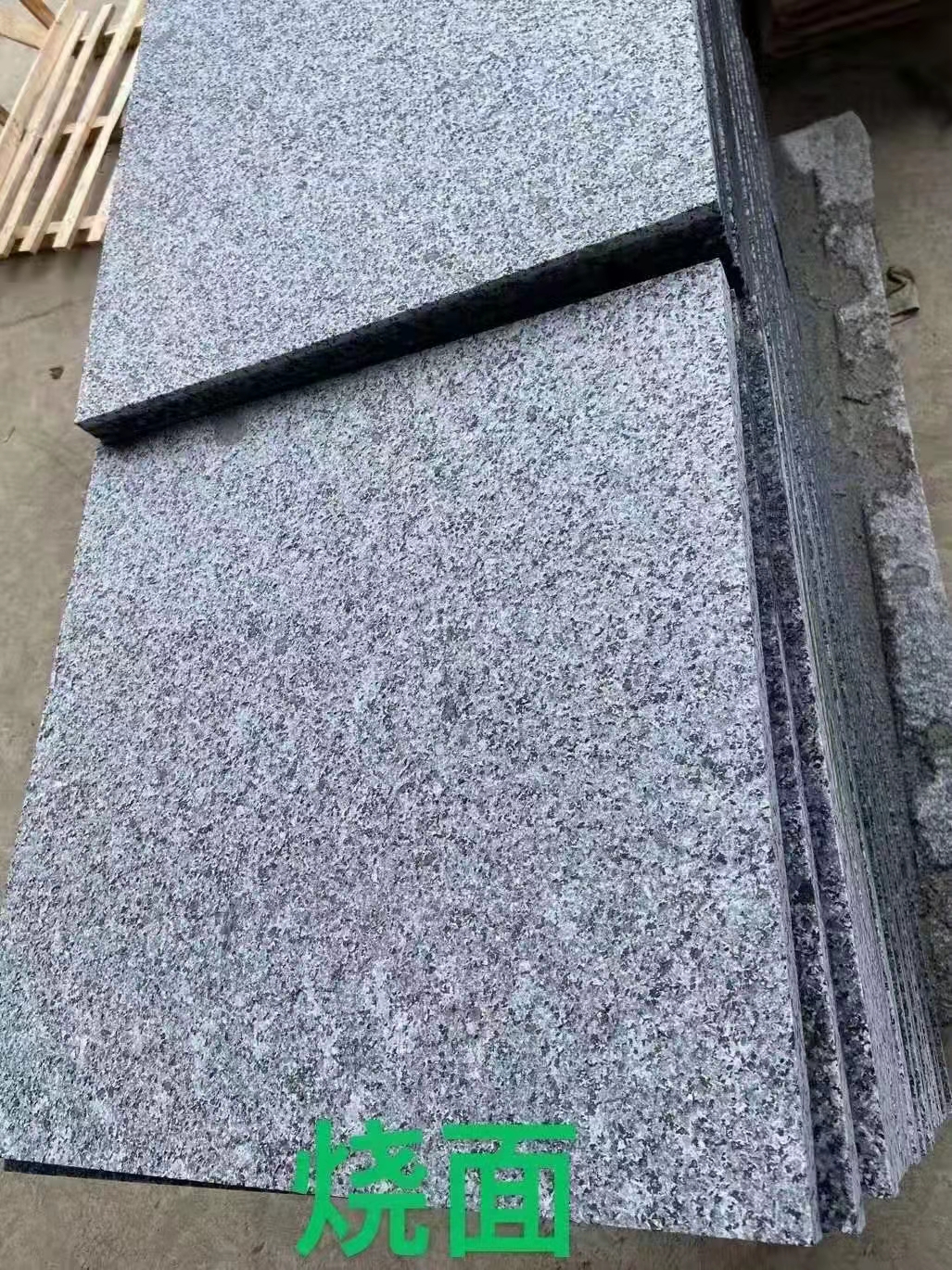 芝麻黑圖片/芝麻黑樣板圖 (2)