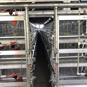 養(yǎng)雞設(shè)備廠家圖片/養(yǎng)雞設(shè)備廠家樣板圖 (4)