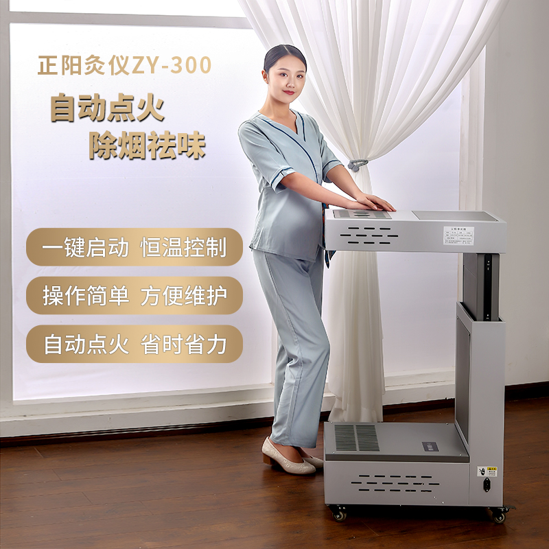 扶陽透灸正陽灸儀ZY-300圖片/扶陽透灸正陽灸儀ZY-300樣板圖 (1)