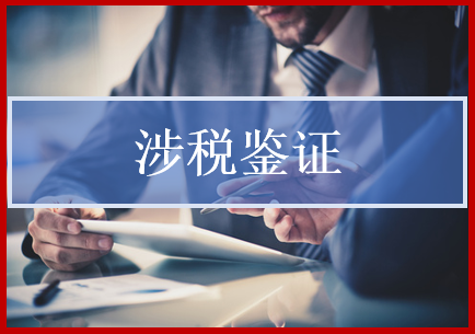涉稅鑒證圖片/涉稅鑒證樣板圖 (3)