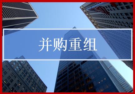 并購(gòu)重組圖片/并購(gòu)重組樣板圖 (4)
