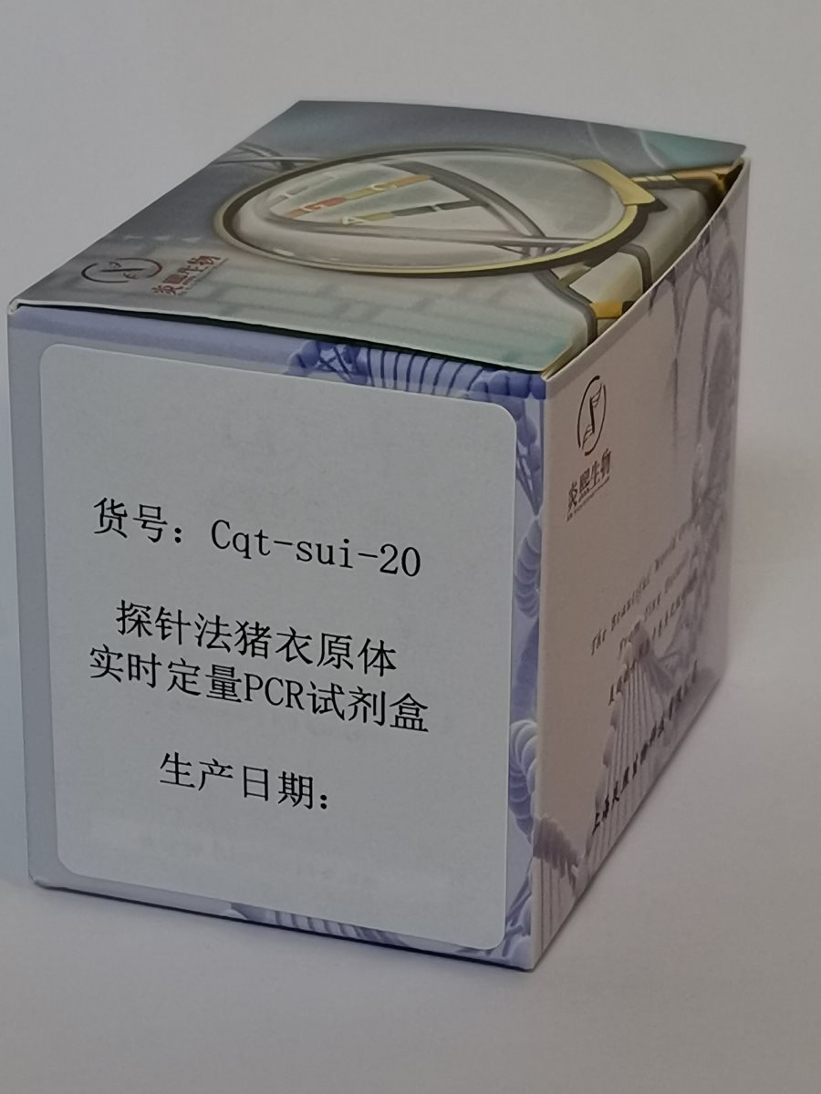 探针法猪衣原体实时定量PCR试剂图片