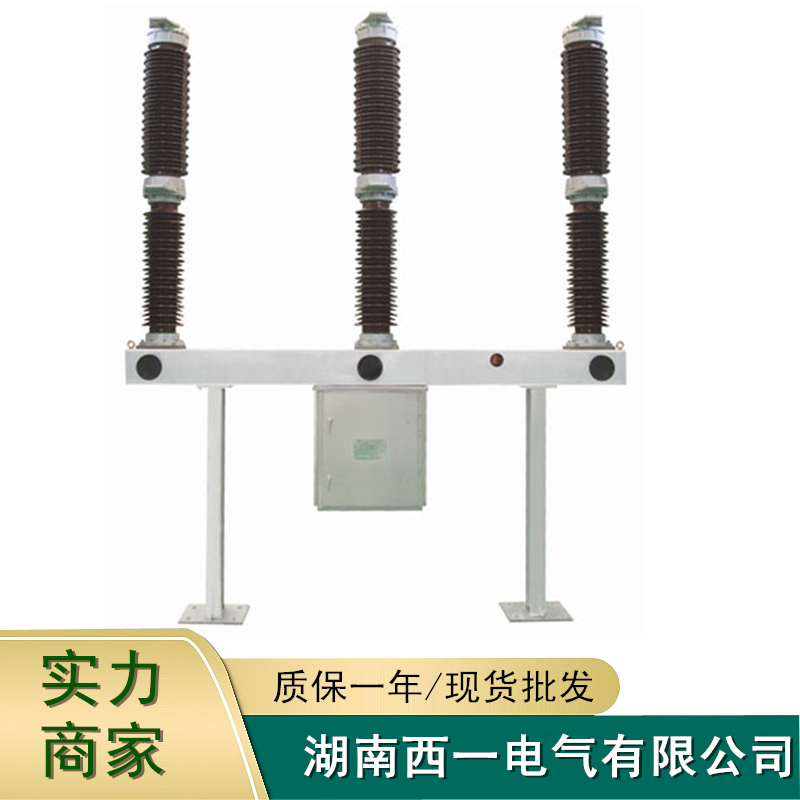 110KV SF6断路器图片